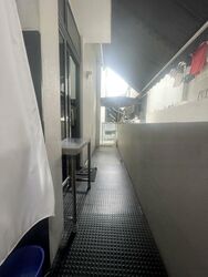 Nim Collection (D28), Terrace #459715731